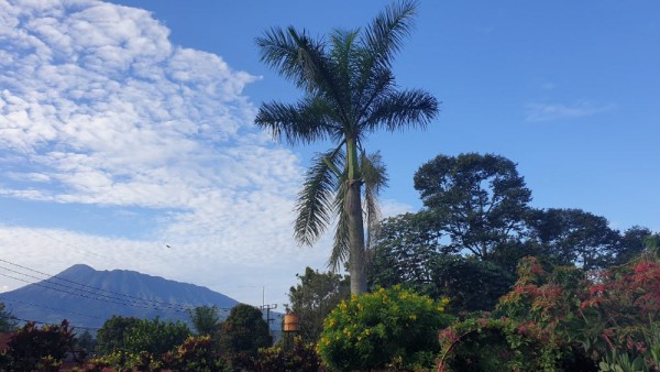 4072fc9cfde84bd983afd921da97371b_1747980